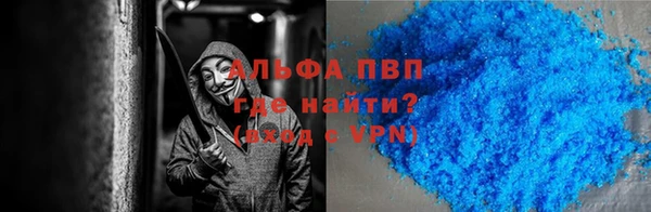 прущие грибы Орск