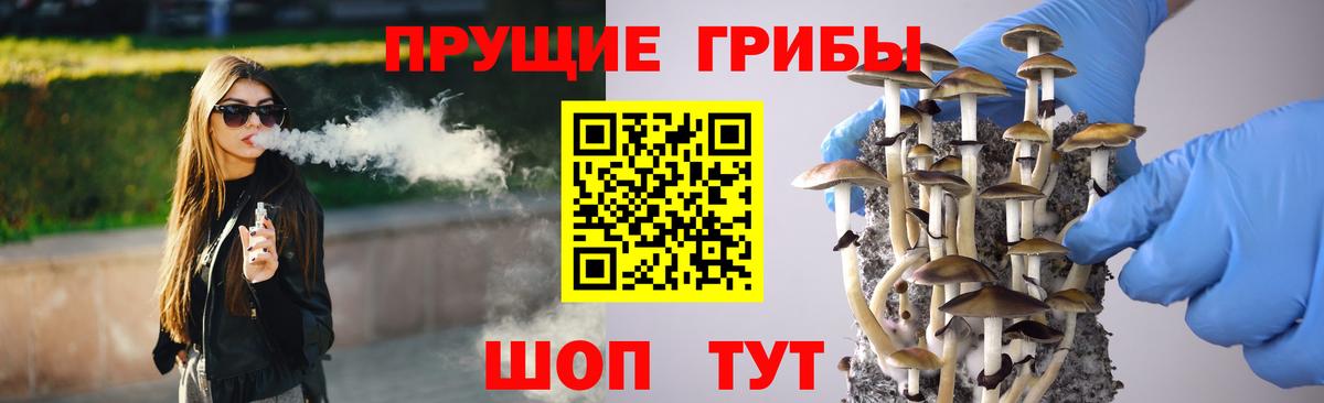 Кандалакша  Псилоцибиновые грибы MAGIC MUSHROOMS  Вход с VPN  Псилоцибиновые грибы мухоморы 